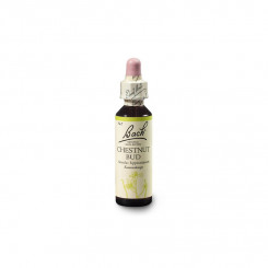 Bach Kaštan koňský, poupě (Chestnut Bud) 20 ml - expirace 12/2024